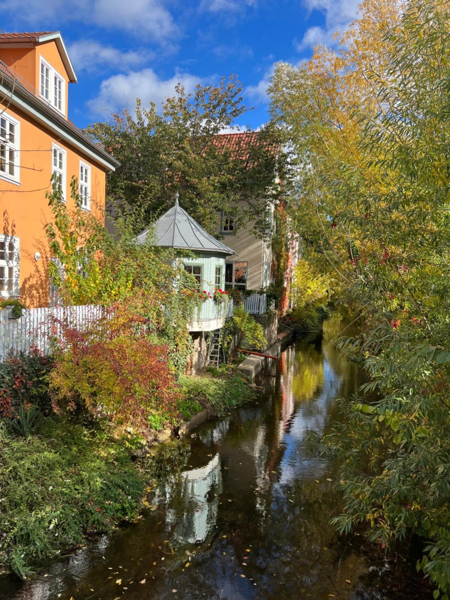 Ferienwohnung Schildblick Modernes Apartment Direkt In Der Altstadt Von Erfurt Nahe Der Kraemerbruecke - Beste Innenstadtlage Dış mekan fotoğraf
